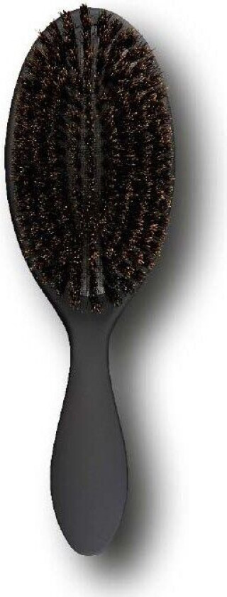 Boar Brush