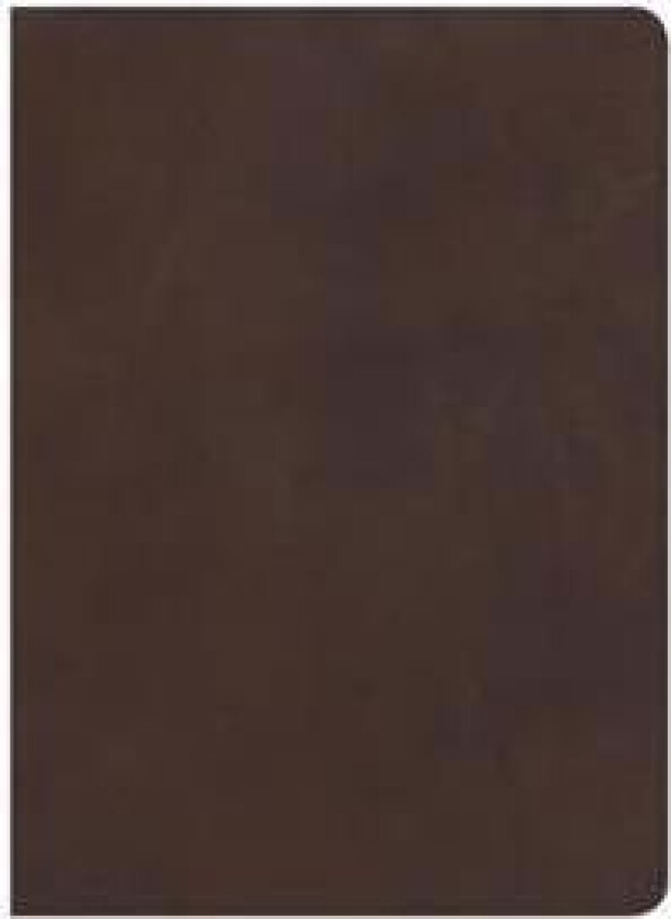 CSB Study Bible, Brown Genuine Leather, Indexed
