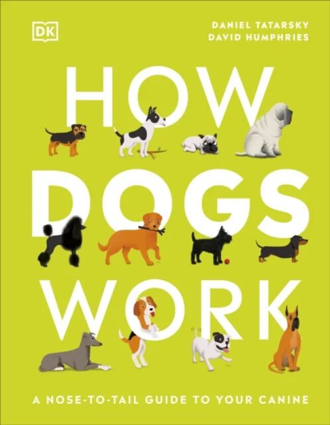 How Dogs Work av Daniel Tatarsky