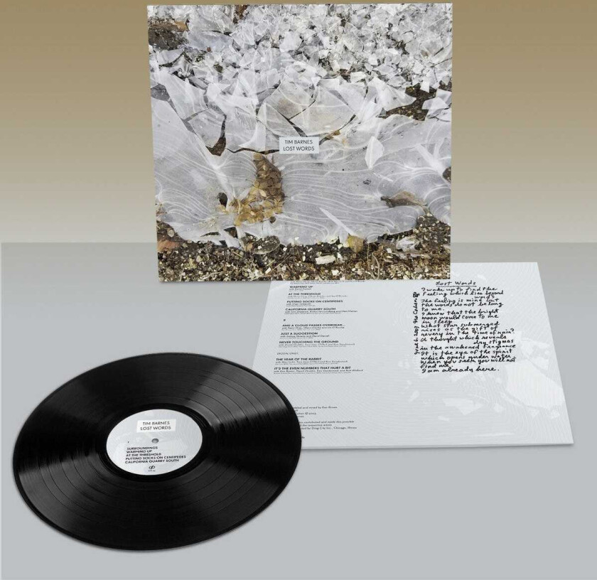 Tim Barnes Lost Words LP/Vinyl