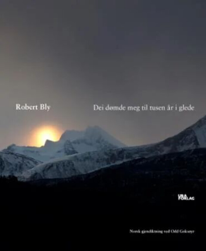 Dei dømde meg til tusen år i glede av Robert Bly