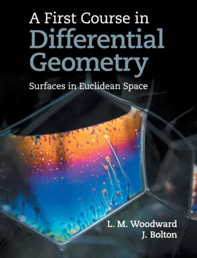 A First Course in Differential Geometry av Lyndon (University of Durham) Woodward, John (University of Durham) Bolton