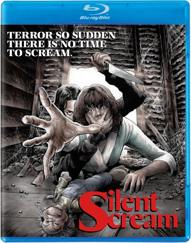 Silent Scream (1979) Bluray