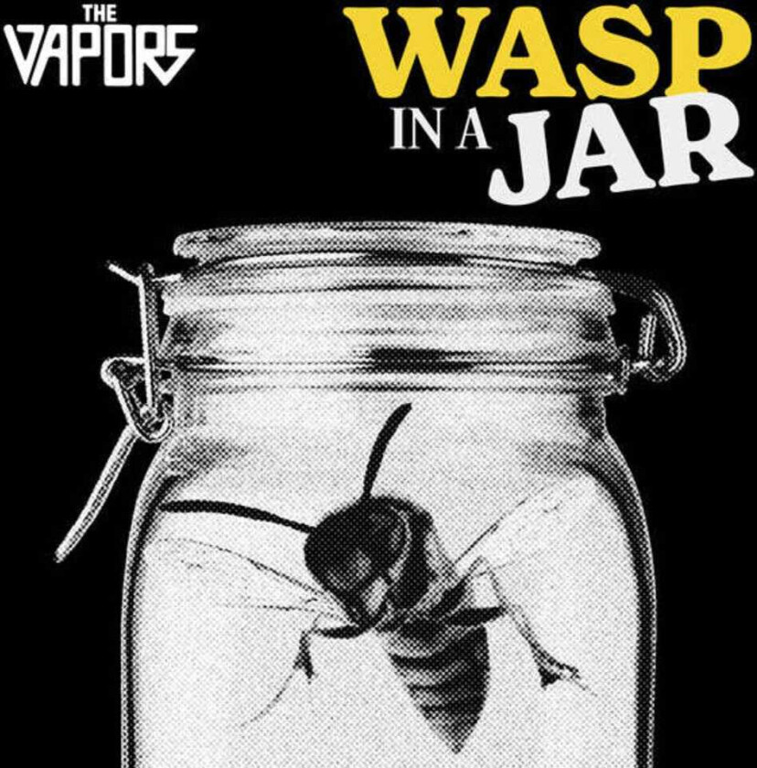 The Vapors Wasp In A Jar CD