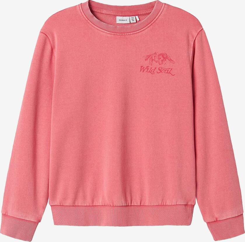 Collegegenser nkfKassia Nreg Sweat Unb Box - Rosa