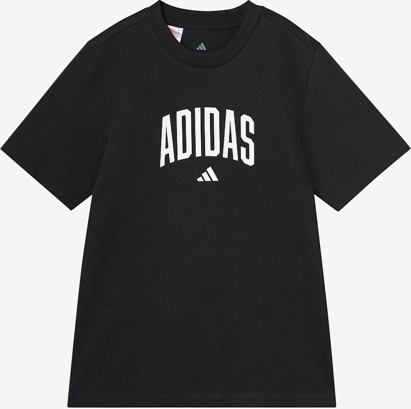 T-skjorte J Colleg T - Svart