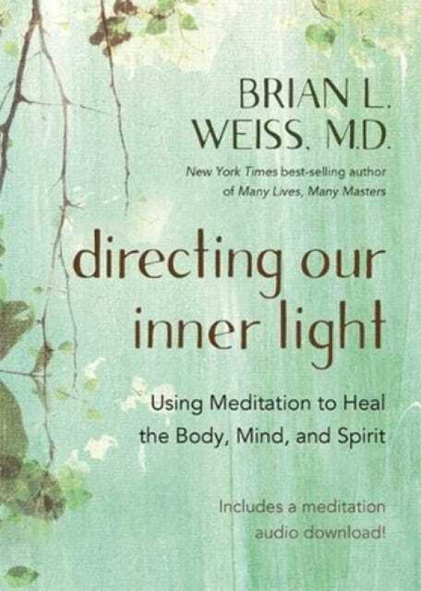 Directing Our Inner Light Using Meditation to Heal the Body, Mind, and Spirit
