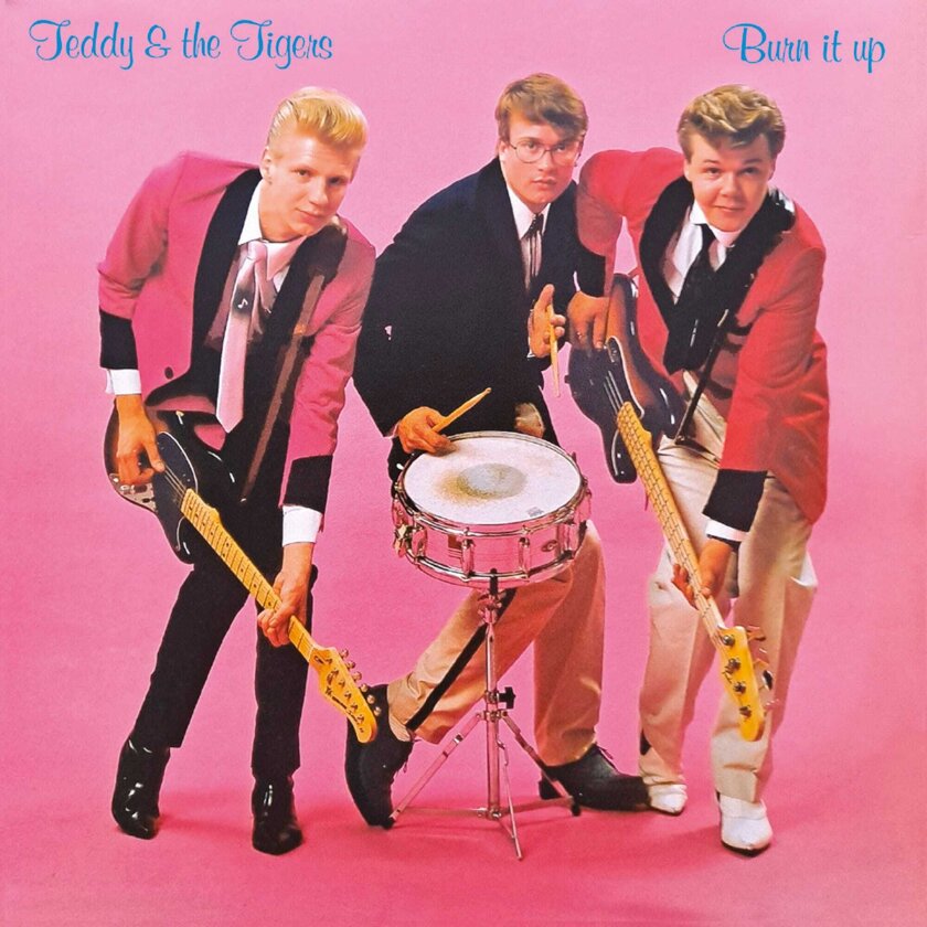 Teddy & The Tigers Burn It Up CD