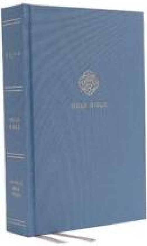 NRSV, Catholic Bible, Journal Edition, Cloth over Board, Blue, Comfort Print