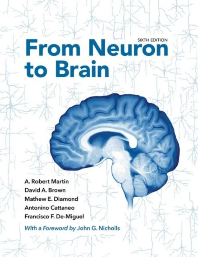 From Neuron to Brain av A. Robert Martin, David A. Brown, Mathe Diamond