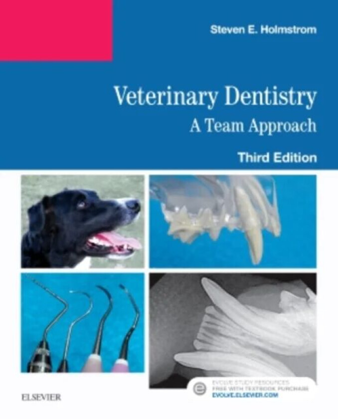 Veterinary Dentistry: A Team Approach av Steven E. (Diplomate AVDC American Veterinary Dental College San Carlos CA) Holmstrom