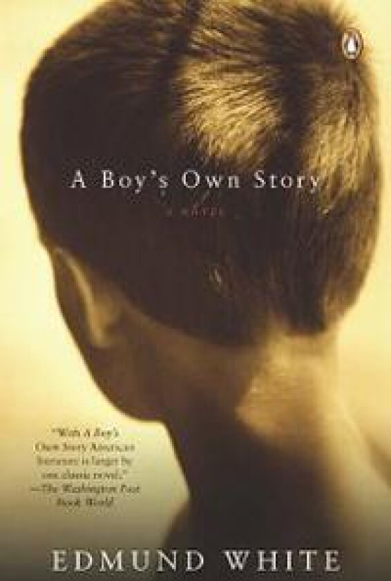 A Boy's Own Story