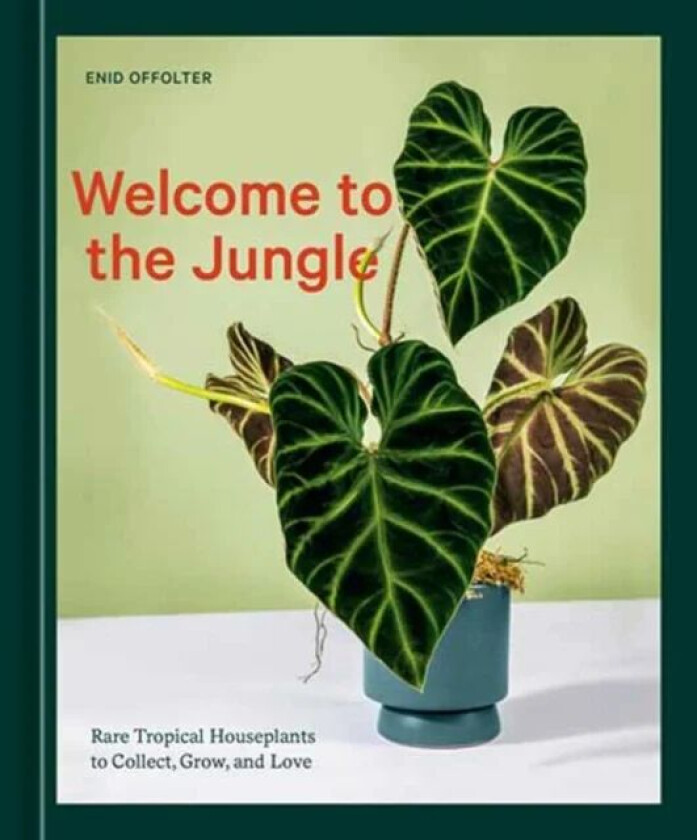 Welcome to the Jungle av Enid Offolter