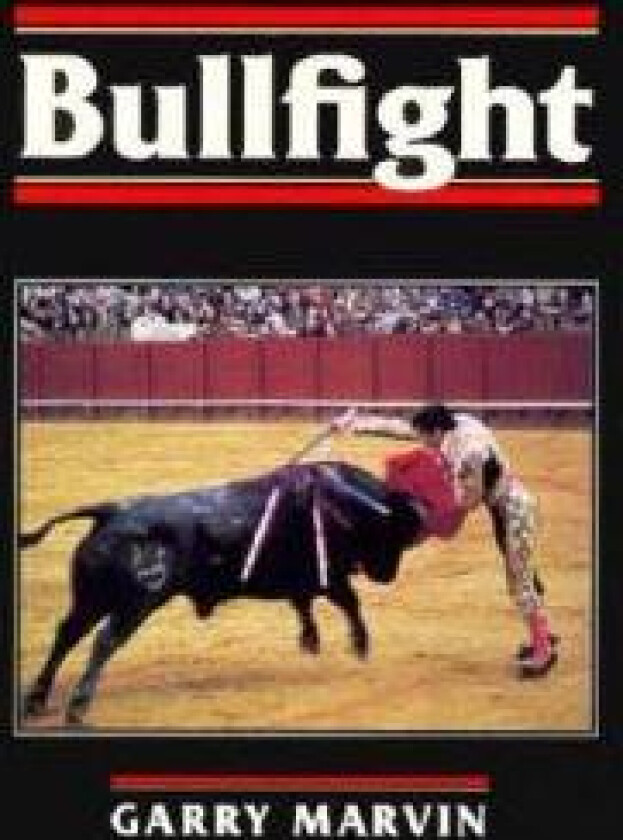BULLFIGHT