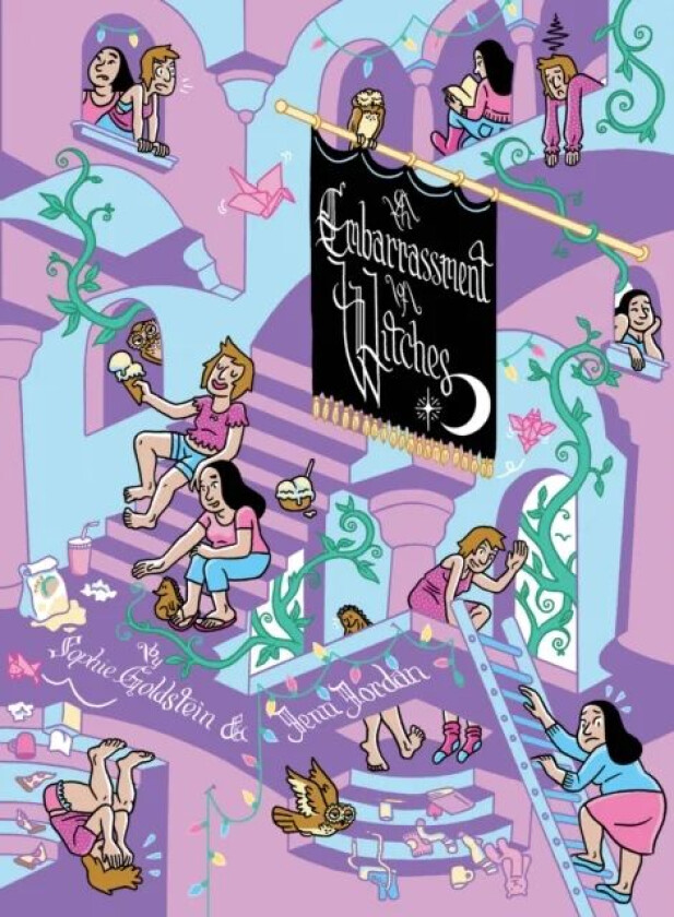 Embarrassment of Witches, An av Sophie Goldstein