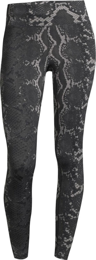 Women's Snake Tights 38, Grey Snake