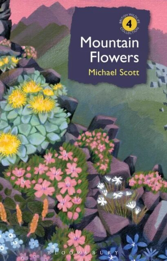 Mountain Flowers av Michael (Author) Scott