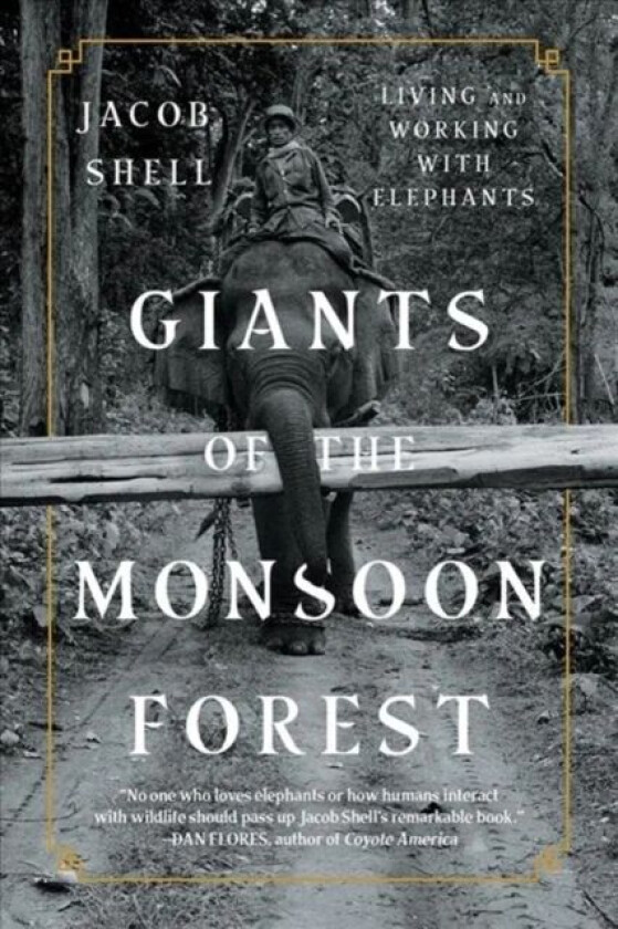 Giants of the Monsoon Forest av Jacob (Temple University) Shell