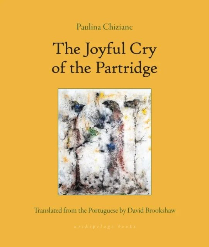 The Joyful Song of the Partridge av Paulina Chiziane