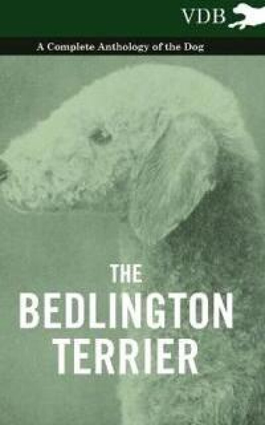 The Bedlington Terrier - A Complete Anthology of the Dog