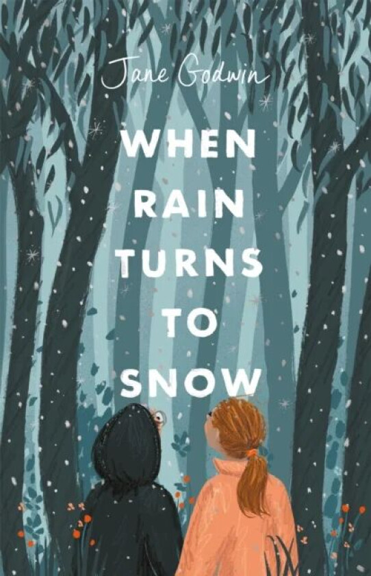 When Rain Turns to Snow av Jane Godwin