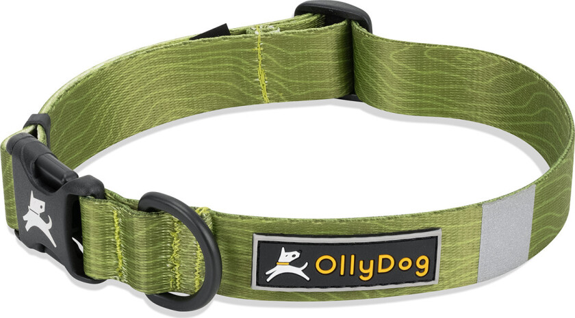 Flagstaff Collar Cactus