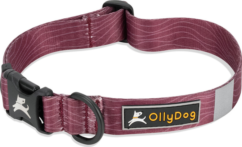 Flagstaff Collar Rosewood