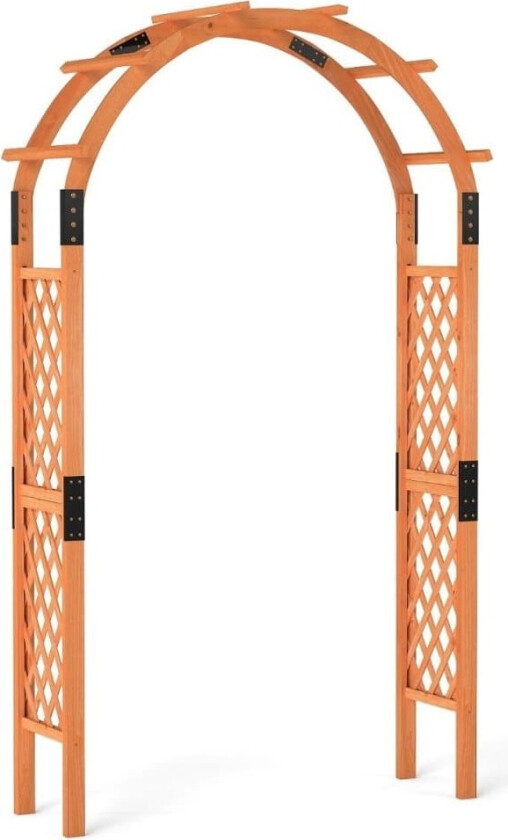 Trerosebue for klatreplanter hagebue buegang espalier klatrehjelp espalier