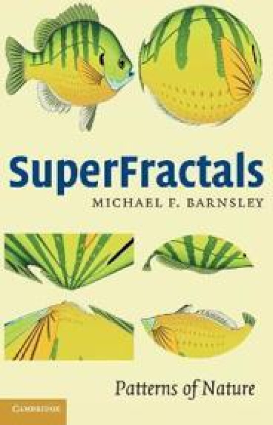 SuperFractals