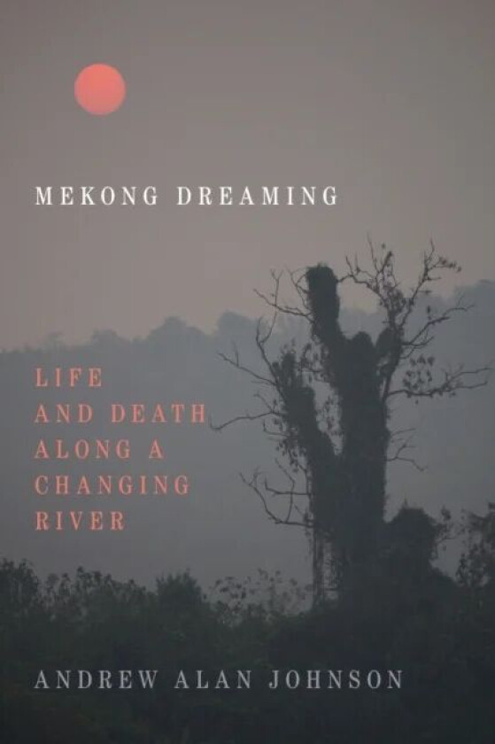Mekong Dreaming av Andrew Alan Johnson