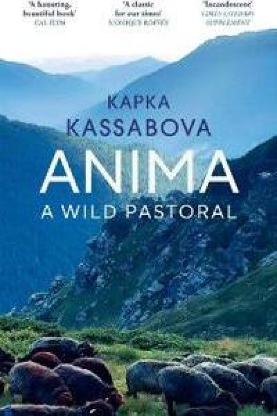 Anima
