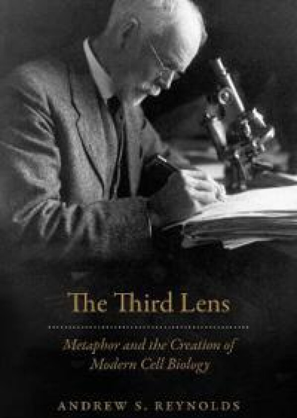 The Third Lens