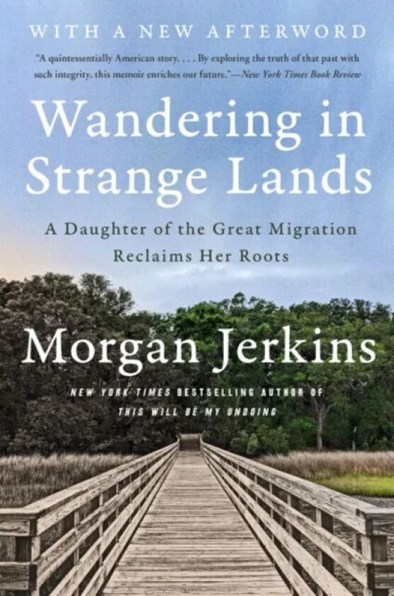 Wandering in Strange Lands av Morgan Jerkins