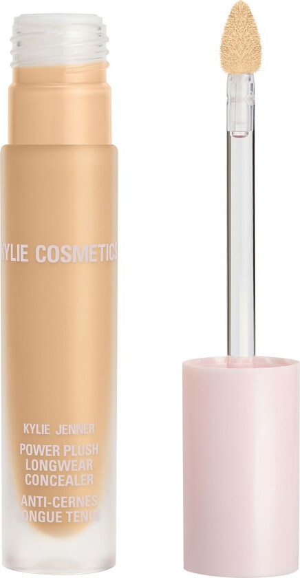 Power Plush Longwear Concealer - 3W