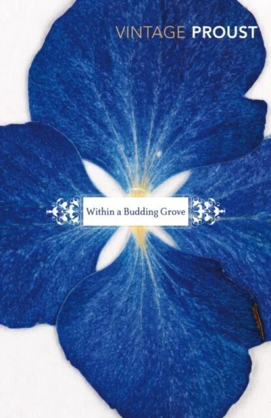 In Search of Lost Time, Vol 2 av Marcel Proust