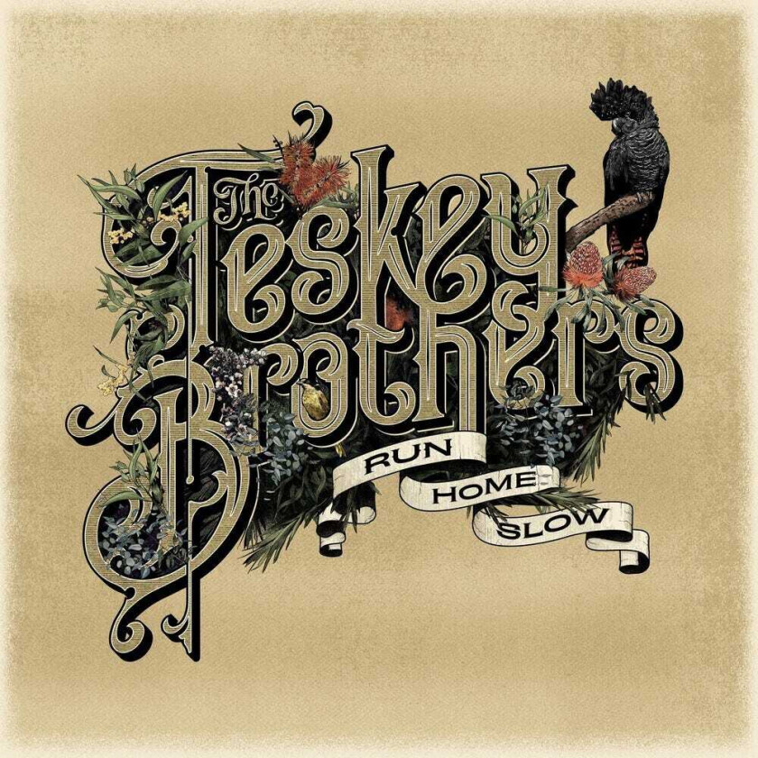 The Teskey Brothers Run Home Slow CD