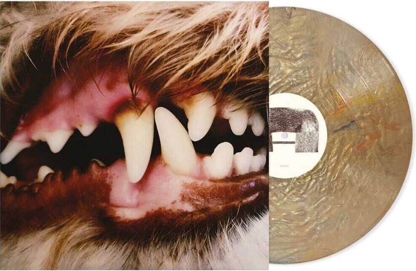 Lucius Lucius LP/Vinyl