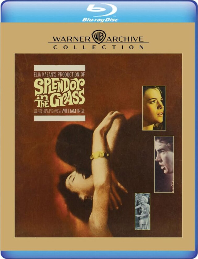 Splendor in the Grass (1961) / Feber i blodet Bluray
