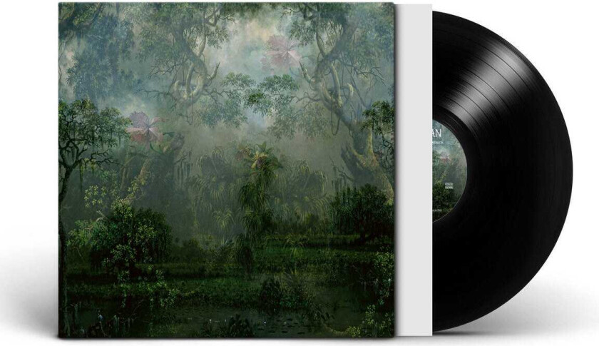 Twice A Man The Coloured Breeze Is A New Dimension LP/Vinyl