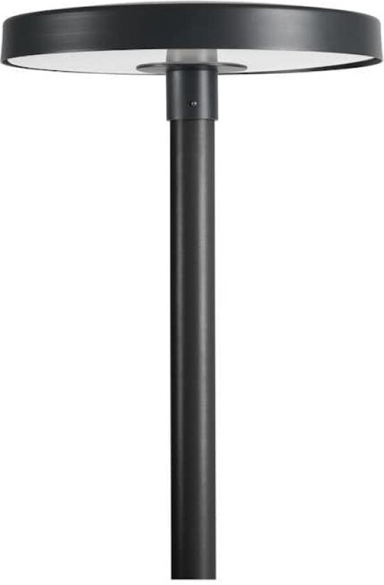 Stolpelykt Norlys Borg 6151