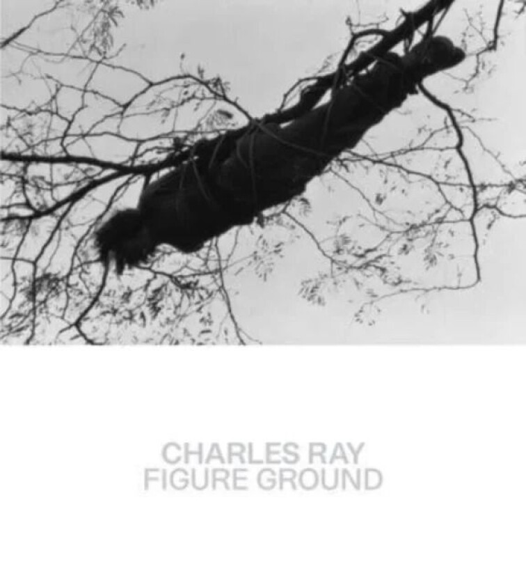 Charles Ray av Kelly Baum, Brinda Kumar