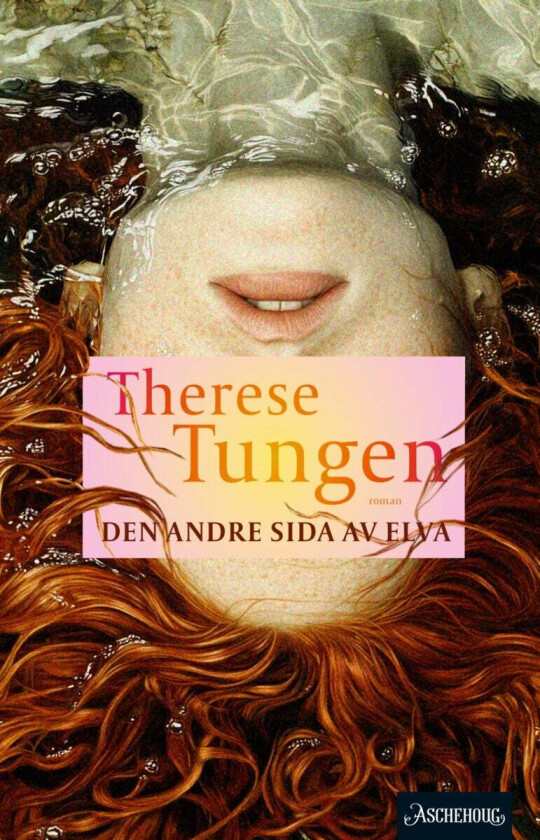 Den andre sida av elva av Therese Tungen