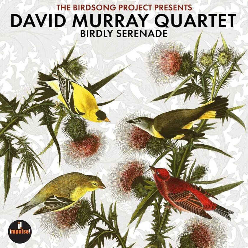 David Murray Birdly Serenade CD
