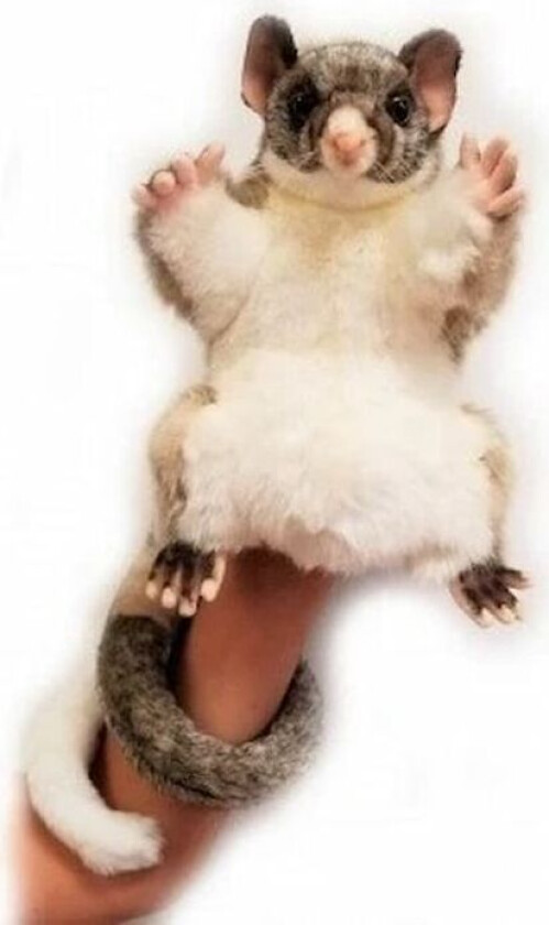 Bilde av Hansa Hånddukke, Pungrotte