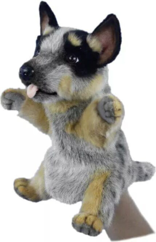 Hansa Hånddukke Australsk kveghund