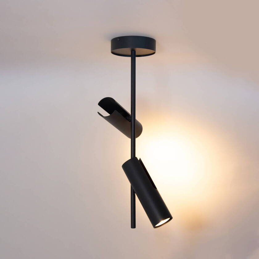 Downlight Leda 2, antrasitt, 2 lyskilder, stål, høyde 55 cm