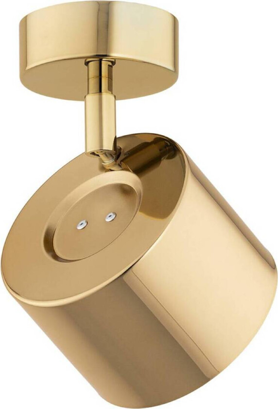 Downlight Chloe, svingbar, 1 lyskilde, stål messingfarget