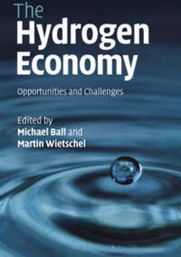 The Hydrogen Economy