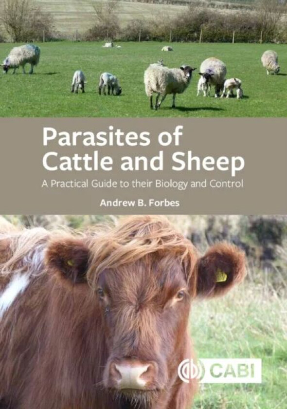 Parasites of Cattle and Sheep av Andrew B (University of Glasgow UK) Forbes