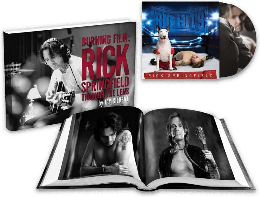 Rick Springfield Big Hits: Rick Springfield's Greatest Hits Vol. 2 CD